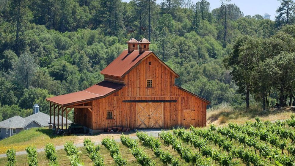 Timberlyne Rolling Hills