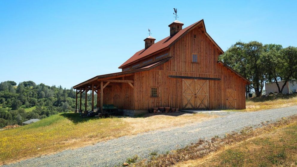 Timberlyne Rolling Hills